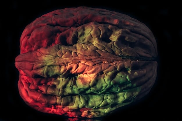 A close-up shot of a brain with different sections highlighted, each section labeled with a specific type of memory (sensory, short-term, long-term).