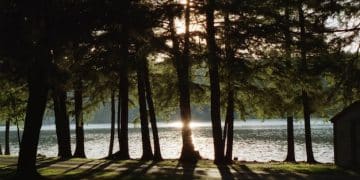 The Unexpected Benefits of Nature on Stress and Well-being - Cover Image