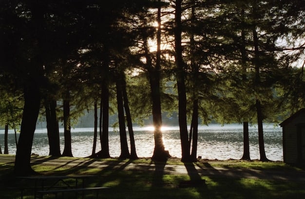 The Unexpected Benefits of Nature on Stress and Well-being