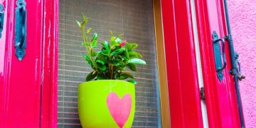 Upgrade Your Curb Appeal: DIY House Number Planter for Under $75 - Cover Image