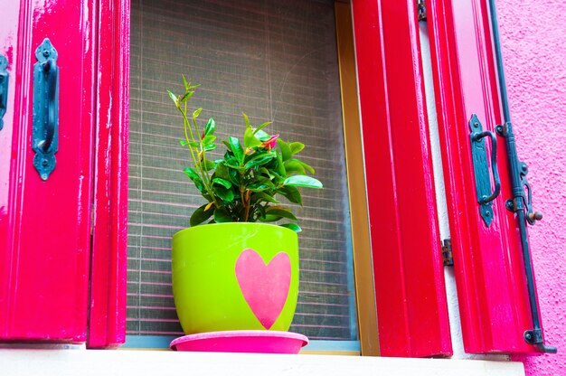 Upgrade Your Curb Appeal: DIY House Number Planter for Under $75