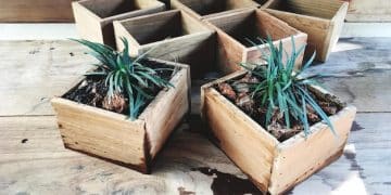 Save Money Landscaping: DIY Raised Garden Beds Under $30 - Cover Image