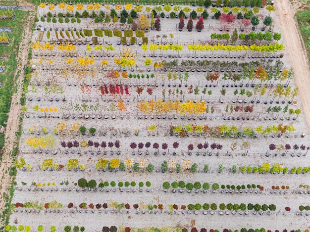 An overhead shot of a nearly completed raised garden bed lined with landscape fabric. The dark fabric contrasts with the light-colored wood of the frame. In the background, gardening tools, such as a trowel and watering can, are visible.