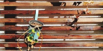 DIY Outdoor Privacy Screen: Add Privacy for Under $120 - Cover Image
