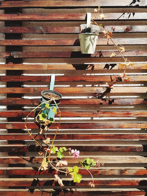DIY Outdoor Privacy Screen: Add Privacy for Under $120