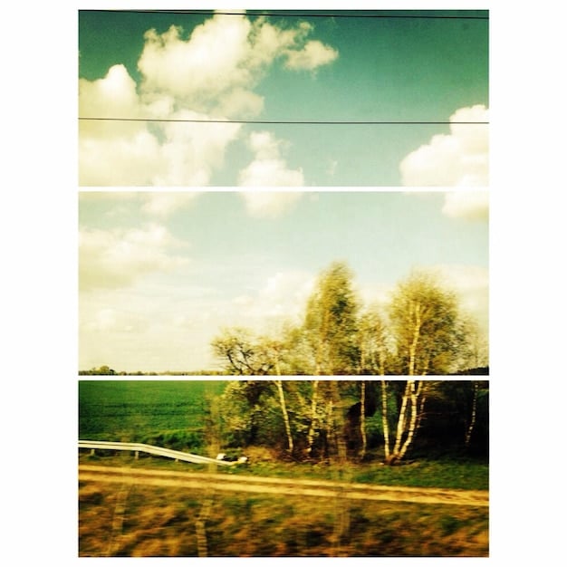 A split image showing, on one side, a pristine natural landscape with clean air and thriving wildlife, and on the other side, a polluted industrial area with smog and environmental degradation. The image visually represents the potential consequences of different environmental policies.